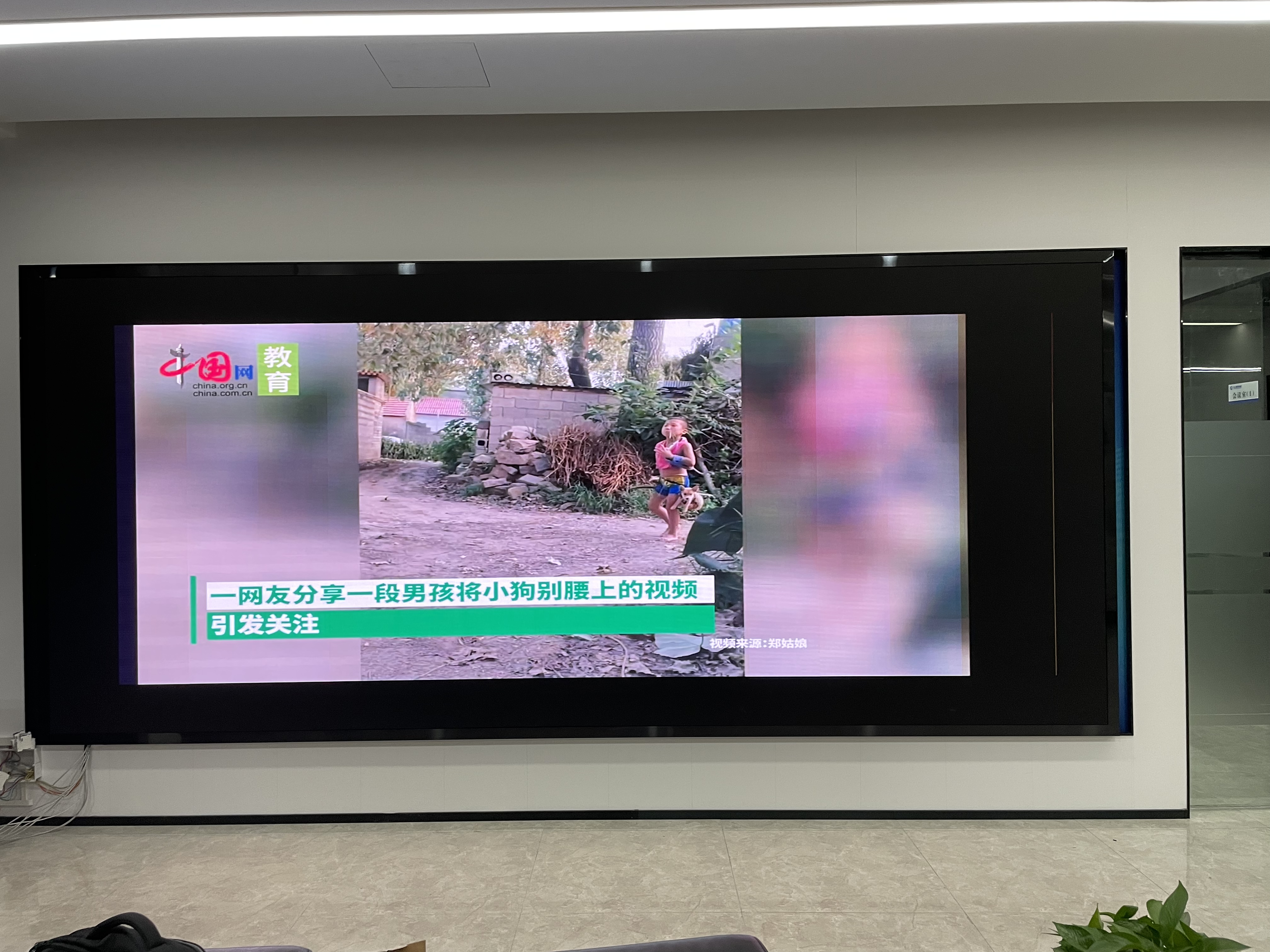 世通贝尔服务网络交付保障:采购招标资质清单全解读